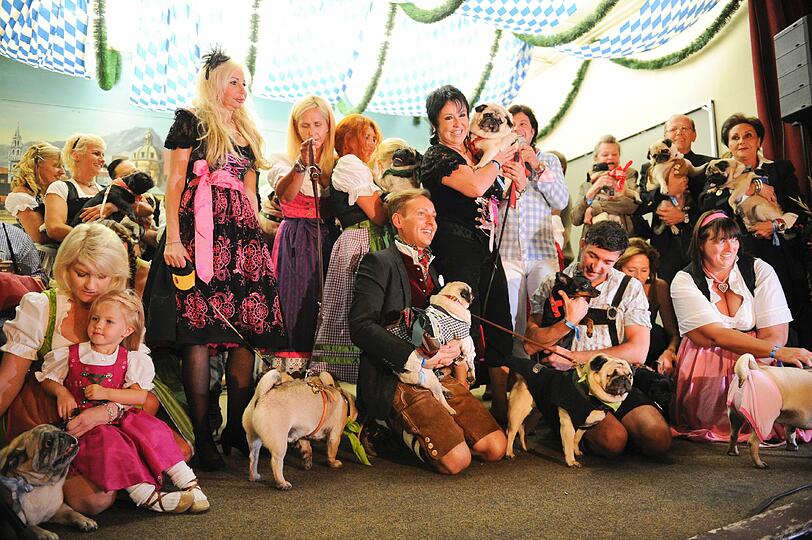 70 Möpse und ihre Frauchen und Herrchen haben sich am Montag aufgebretzelt, um beschwingt und be-wuff-t in die Woche zu starten. Der Anlass: das neue Buch "Hier kocht der Mops" (Heel Verlag) von Sir Henry, dem Mops von Zweibeiner-Eltern Uschi Ackermann und Gerd Käfer. Feinkost-König Käfer kocht darin 50 Gerichte für Hunde.