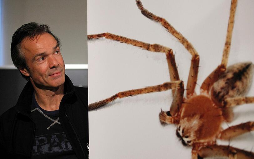 Hannes Jaenicke mit seiner Riesenkrabbenspinne "Olios jaenicke", eine kürzlich in Laos entdeckte Spinnenart. Der Schauspieler scheint gefallen an den Krabbel-Tierchen gefunden zu haben...