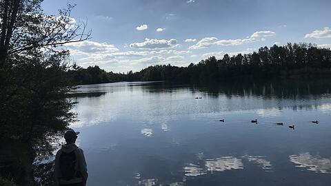 Idyllisch und weitläufig ist der See im Naturschutzgebiet Allacher Lohe.