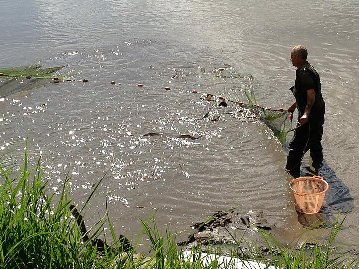 Die Suche nach Alligator-Schildkröte "Lotti" geht weiter. Hier sehen Sie die Bilder vom Badesee in Irsee.
