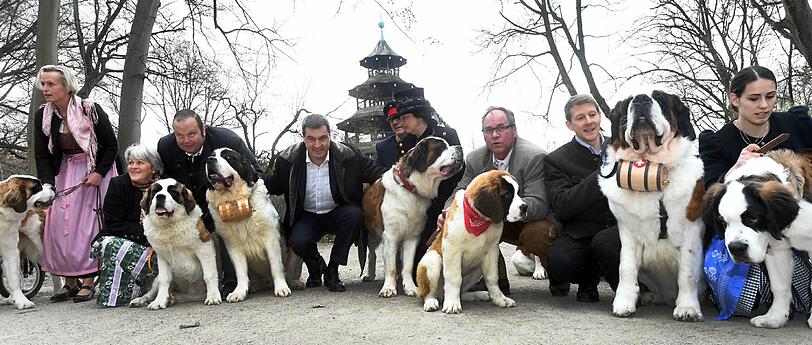 Trachtler, Hundewelpen und im Hintergrund der Chinesische Turm: Für den nicht gerade öffentlichkeitsscheuen Markus Söder eine perfekte Gelegenheit, sich in Szene zu setzen.