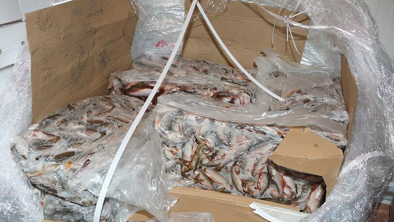 Manche Hellabrunner wollen allerdings nichts als Fisch - der kommt tiefgefroren und in großen Mengen. Manche Hellabrunner wollen allerdings nichts als Fisch - der kommt tiefgefroren und in großen Mengen.