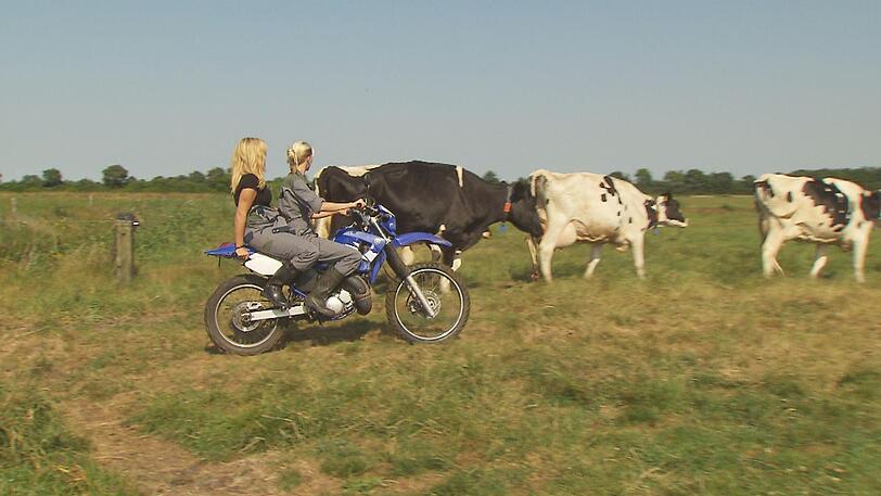 Die patente Jungbäuerin Lena (24, r.) treibt mit der Schweizerin Janine (24) auf dem Motorrad die Kühe zusammen.