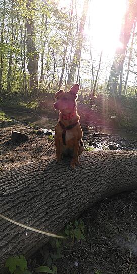 Miss Daisy