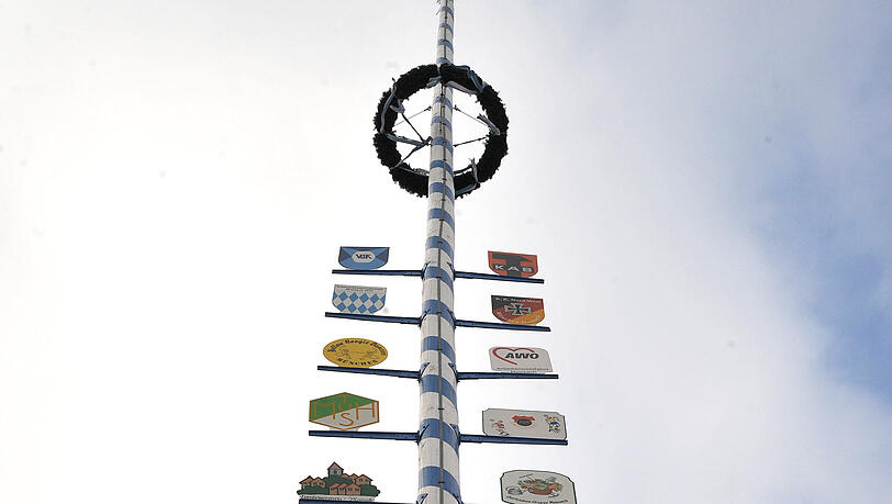 Ein Moosacher Höhepunkt: der Maibaum. Ein Moosacher Höhepunkt: der Maibaum.