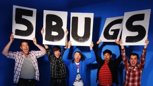 Klare Haltung, unerwartete Riffs: 5 Bugs.