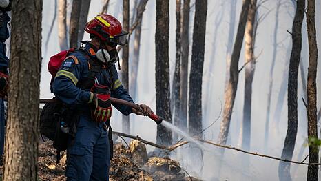 Hunderte Einsatzkr&auml;fte, darunter auch Feuerwehrleute aus Rum&auml;nien und Frankreich, k&auml;mpfen in der N&auml;he von Athen gegen einen Gro&szlig;brand.