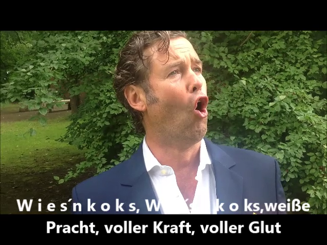 Bilder aus dem Wiesnkoks-Video