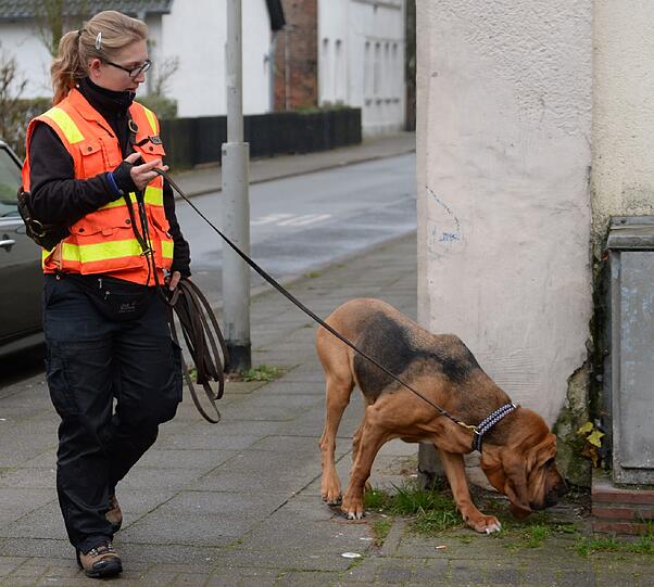 Bei der Suche nach dem Supermarkt-Schützen aus Hannover setzt die Polizei Spürhunde ein.