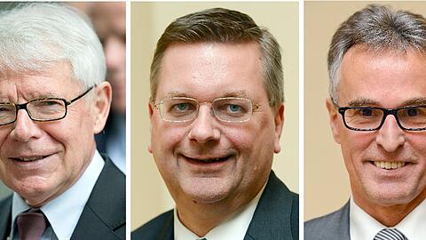 Mögliche Kandidaten für das Amt des DFB-Präsidenten: Rainer Koch (von links), Reinhard Rauball, Reinhard Grindel, Helmut Sandrock, Heribert Bruchhagen.