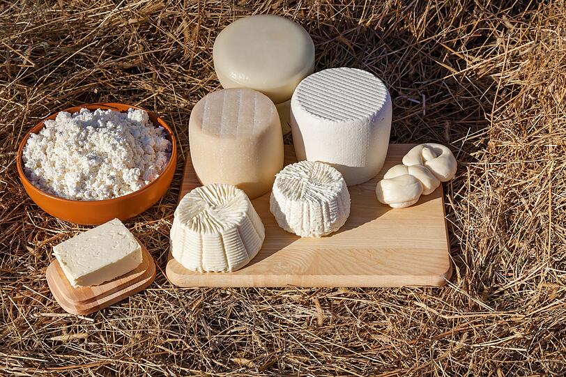 Man kann nicht pauschal behaupten, dass Bio-Käse gesünder ist - der Kaloriengehalt sinkt durch ein entsprechendes Siegel schließlich auch nicht. Zumindest sind solche Sorten aber frei von Stabilisatoren, Konservierungsstoffen, Emulgatoren und Farbstoffen. Ausschlaggebend für die Wahl von Bio-Käse ist aber wohl meist das Tierwohl und nicht der gesundheitliche. Man kann nicht pauschal behaupten, dass Bio-Käse gesünder ist - der Kaloriengehalt sinkt durch ein entsprechendes Siegel schließlich auch nicht. Zumindest sind solche Sorten aber frei von Stabilisatoren, Konservierungsstoffen, Emulgatoren und Farbstoffen. Ausschlaggebend für die Wahl von Bio-Käse ist aber wohl meist das Tierwohl und nicht der gesundheitliche.