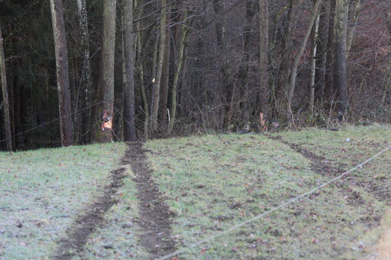 Unglaublich: Aus diesem Wrack entkam der Fahrer mit nur leichten Verletzungen. Wegen Glatteis war er eine Böschung hinab geschossen. Die Bilder von der Unfallstelle!