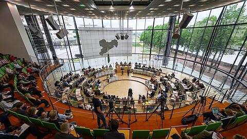 Der Gr&uuml;nen-Antrag zur Unterst&uuml;tzung kleiner Schlachtbetriebe bekam am Mittwochabend nur mit Hilfe von AfD und BSW eine Mehrheit. (Archivbild)
