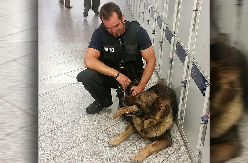 Ein Schäferhund der Bundespolizei verhinderte die Flucht eines Obdachlosen über die Gleise.