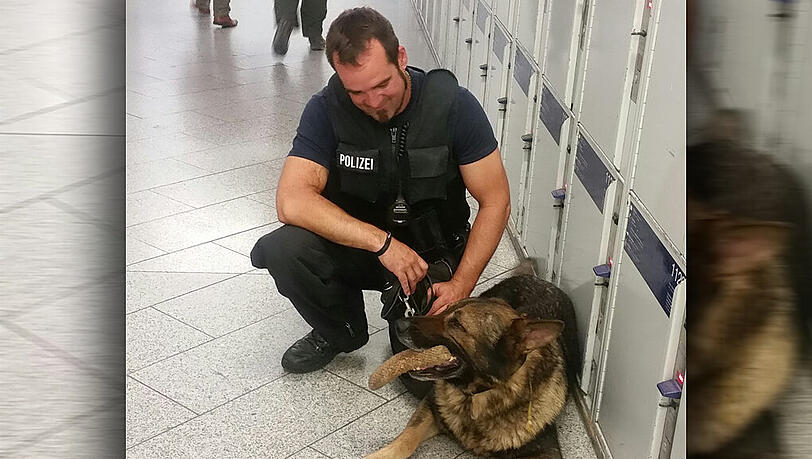 Ein Schäferhund der Bundespolizei verhinderte die Flucht eines Obdachlosen über die Gleise. Ein Schäferhund der Bundespolizei verhinderte die Flucht eines Obdachlosen über die Gleise.