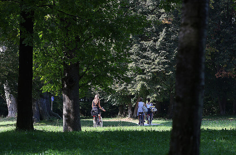 Im Nordteil des Englischen Garten herrscht deutlich weniger Betrieb als im Süden.