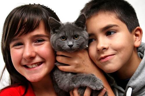 Anabell (11) und Salvatore (7)  können endlich ihren heißgeliebten Kater Tiger (3 Monate) in die Arme schließen.