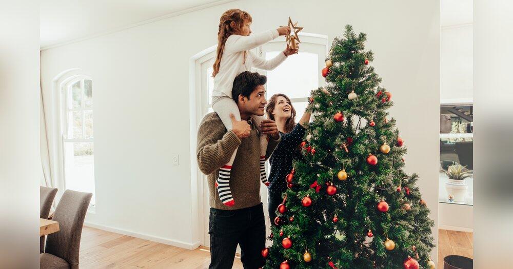 Echt-vs-Kunstbaum-Was-ist-besser-f-r-Umwelt-und-Geldbeutel-