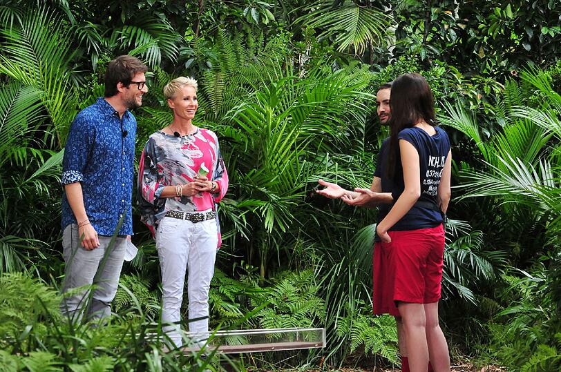 Dschungelprüfung 12, die "Lotterie des Grauens": Die Campbewohner haben Nathalie Volk (r.) und Menderes Bagci zur heutigen Dschungelprüfung geschickt. Moderator Daniel Hartwich (l.) und Moderatorin Sonja Zietlow begrüßen die beiden.