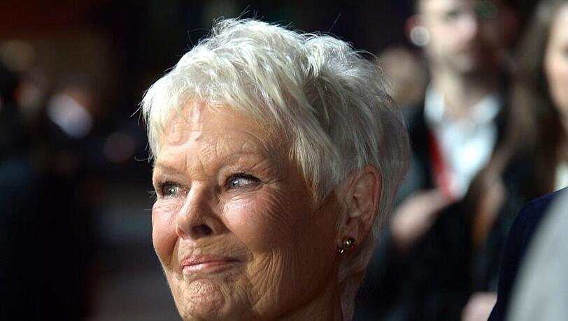 Judi Dench ist auch mit ihren fast 80 Jahren eine gefragte Darstellerin Judi Dench ist auch mit ihren fast 80 Jahren eine gefragte Darstellerin