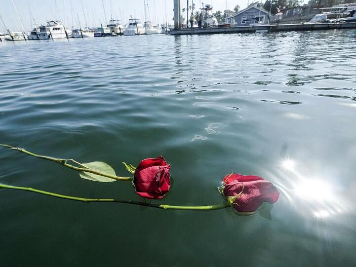 Trauer um die Toten des Bootsungücks: Zwei rote Rosen schwimmen auf dem Wasser im Hafen von Santa Barbara.
