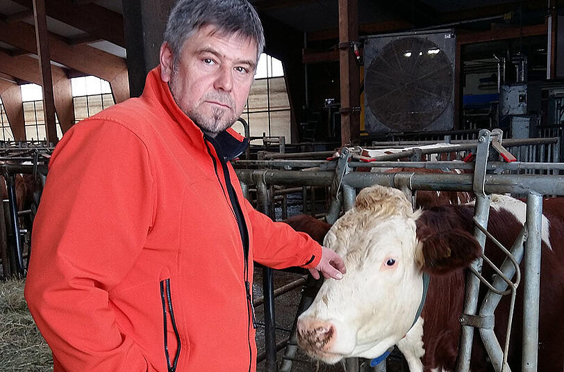 Landwirt Gerhard Lindner mit Kuh Zelle, die in Kürze ihr fünftes Kälbchen erwartet.