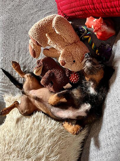Woody