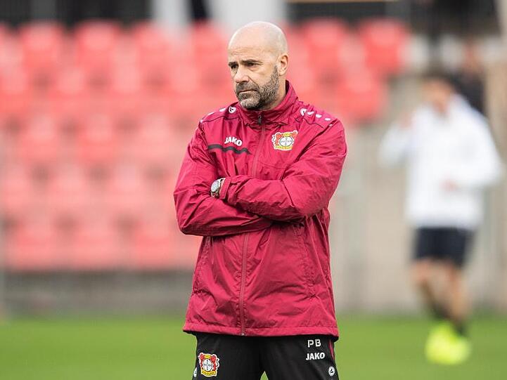 Nach dem Sieg gegen Atlético ist der Glaube bei Peter Bosz und Bayer Leverkusen wieder da.