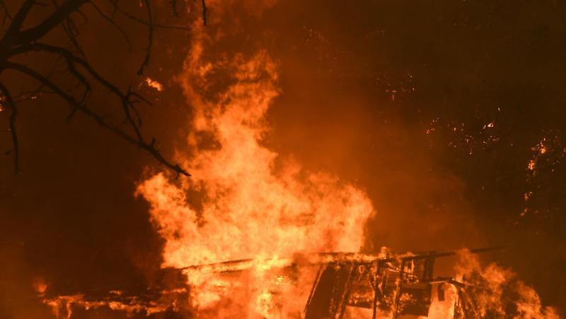 Seit Oktober haben Hunderte Buschbrände in Australien bereits mehrere Millionen Hektar Land vernichtet. Seit Oktober haben Hunderte Buschbrände in Australien bereits mehrere Millionen Hektar Land vernichtet.