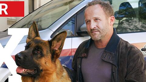 "Kommissar Rex": Rex und Max Steiner (Maximilian Br&uuml;ckner) sind ein Team.