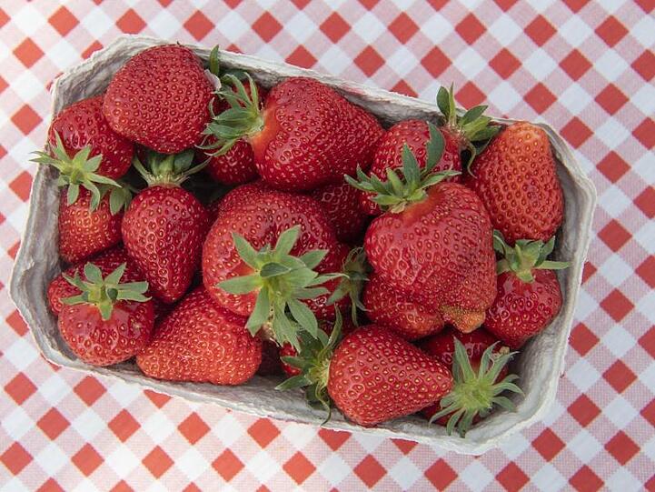 Ein Schale frischer Erdbeeren steht auf einem Tisch. Foto: Boris Roessler/Archivbild