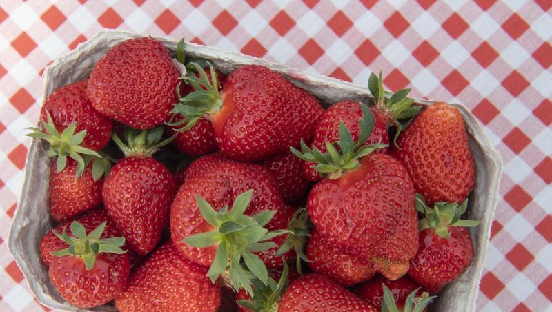 Ein Schale frischer Erdbeeren steht auf einem Tisch. Foto: Boris Roessler/Archivbild Ein Schale frischer Erdbeeren steht auf einem Tisch. Foto: Boris Roessler/Archivbild