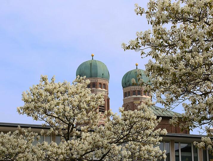 München blüht auf? Diese Aufnahme aus der Maxburg hinaus auf die Frauenkirche ist doch der Beweis.