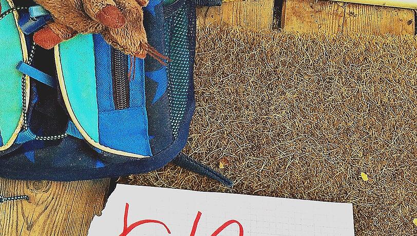Jawoll, "ich ziehe aus!", schreibt Anna (6) in Signalrot ihrer Mama nach einem Streit. Sie ist aber schnell wieder heimgekommen. Jawoll, "ich ziehe aus!", schreibt Anna (6) in Signalrot ihrer Mama nach einem Streit. Sie ist aber schnell wieder heimgekommen.