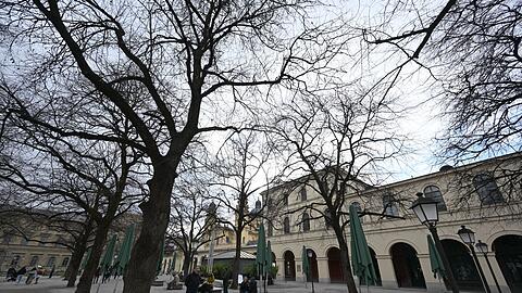 Erst bleibt es tr&uuml;b - aber Besserung ist in Sicht.