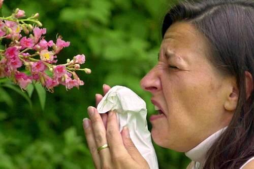 Pollen machen immer mehr Menschen zu schaffen.