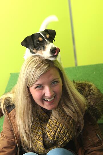 Parson Russel Terrier "Kalle" huldigt seinen Fans bei einer eigenen Autogrammstunde.