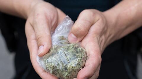 Die Polizei stellte mehrere Kilogramm Cannabis, ein Kilogramm Haschisch, mehrere Hundert Gramm Kokain sowie eine gr&ouml;&szlig;ere Summe Bargeld sicher. (Symbolbild)