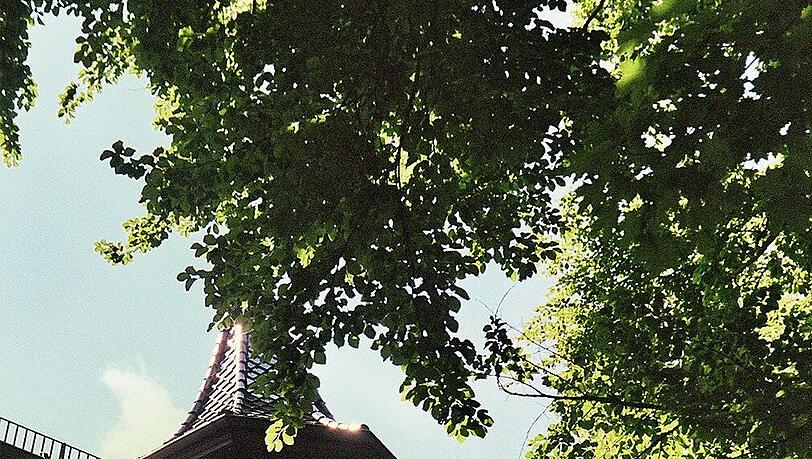 Etwas versteckt liegt das Grützner-Haus in Haidhausen. Vom Türmchen aus dürfte man einen herrlichen Blick auf Maximilianeum und Isar haben. Etwas versteckt liegt das Grützner-Haus in Haidhausen. Vom Türmchen aus dürfte man einen herrlichen Blick auf Maximilianeum und Isar haben.