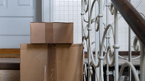 Die Katze hatte sich nach bisherigen Erkenntnissen unbemerkt in den Karton gelegt. (Symbolbild)