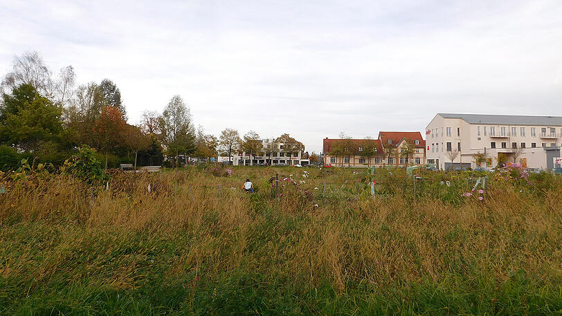 Das Areal fürs Sozialbürgerhaus südlich des Bahnhofs wird derzeit für Krautgärten genutzt.