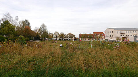 Das Areal fürs Sozialbürgerhaus südlich des Bahnhofs wird derzeit für Krautgärten genutzt.