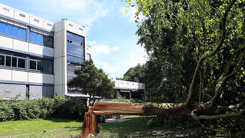 Der Baum wurde durch die Detonation abgerissen, im Hintergrund sieht man geborstene Fensterscheiben am Schulgebäude. Der Baum wurde durch die Detonation abgerissen, im Hintergrund sieht man geborstene Fensterscheiben am Schulgebäude.