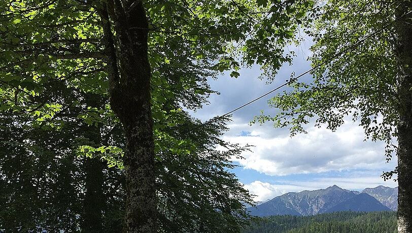 Blick auf den idyllischen Eibsee. Blick auf den idyllischen Eibsee.