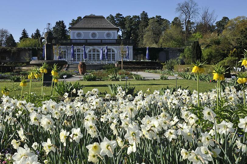 Vor dem Botanischen Garten wird die Fahrbahn saniert. (Archivbild)
