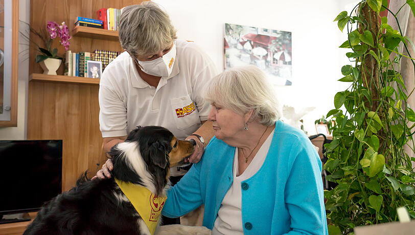 Auch Besuchshunde sind in der Pflege teilweise mit im Einsatz. Auch Besuchshunde sind in der Pflege teilweise mit im Einsatz.