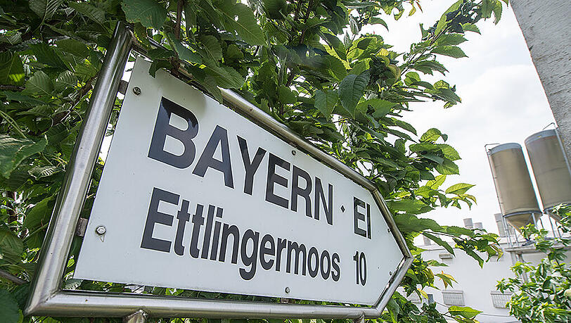 Das Betriebsgelände der Firma Bayern-Ei nahe Wallersdorf. Hier werden momentan keine Eier produziert.