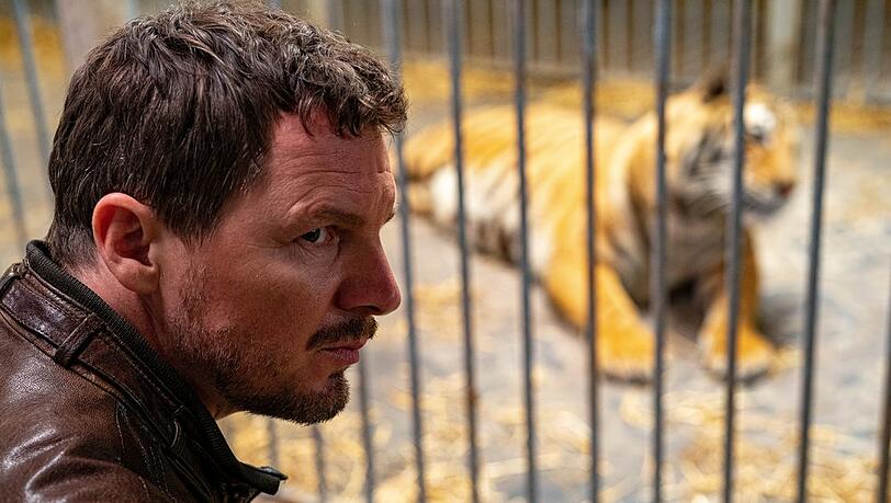 "Tatort: Die Nacht der Kommissare": Kommissar Sebastian Bootz (Felix Klare) unter vier Augen mit einem schwäbischen Tiger.