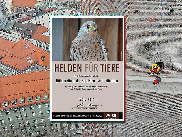 Für ihren Einsatz hat die Tierrechtsorganisation PETA die Höhenrettung nun zum "Helden für Tiere" ernannt.