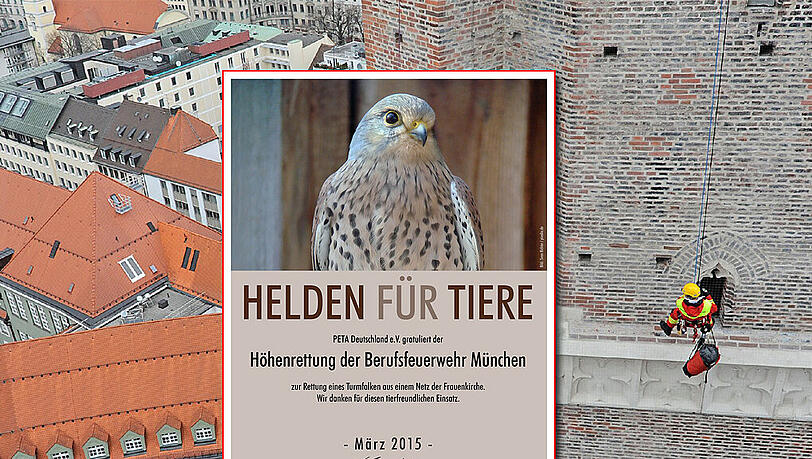 Für ihren Einsatz hat die Tierrechtsorganisation PETA die Höhenrettung nun zum "Helden für Tiere" ernannt. Für ihren Einsatz hat die Tierrechtsorganisation PETA die Höhenrettung nun zum "Helden für Tiere" ernannt.